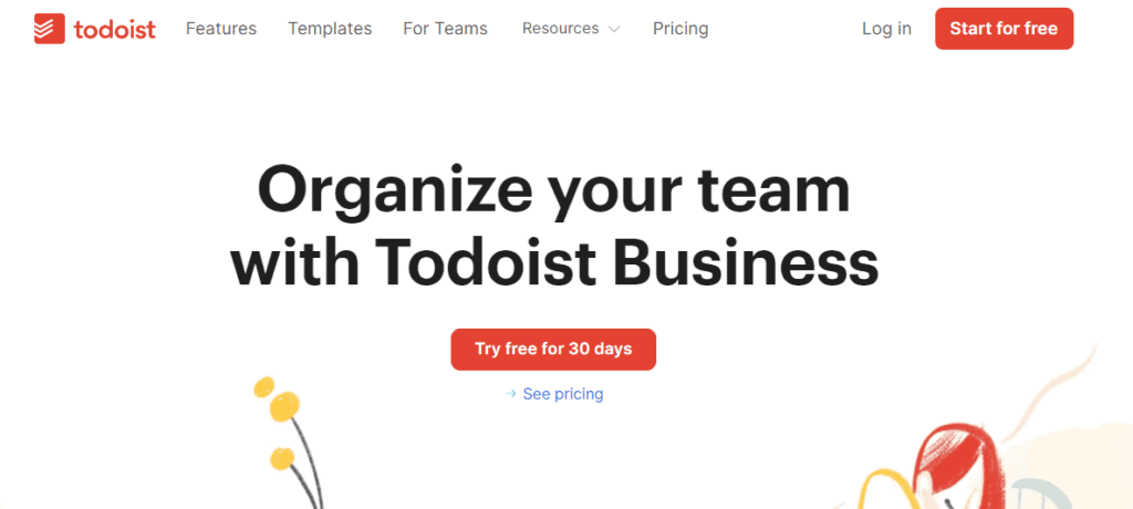 Todoist project management software 